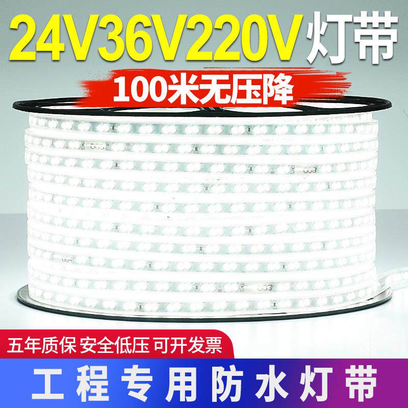 LED灯带220v户外防水地下室隧道工地亮化装饰照明白光灯条24V36V