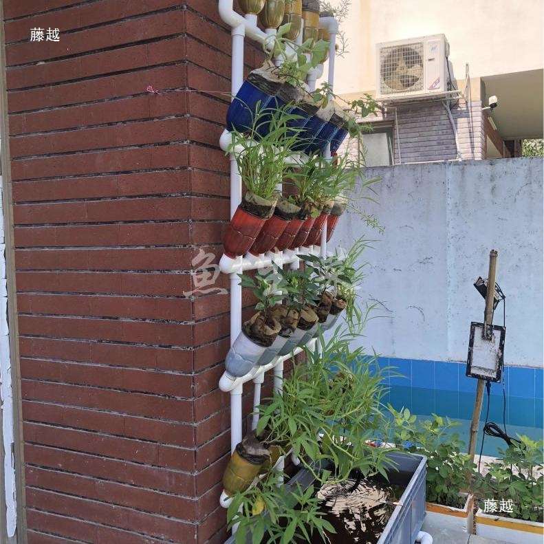 鱼菜共生透明虹吸花架多肉植物水培潮汐系统无土栽培可