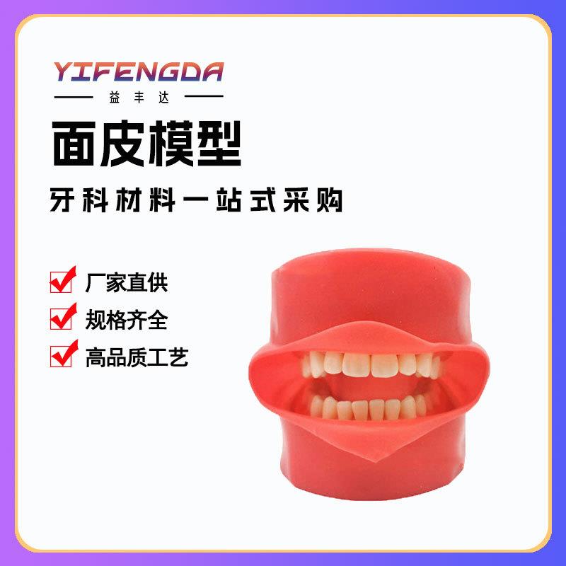 全口可拆卸备28颗牙齿模型加面皮
