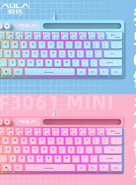AULA狼蛛F3061迷你机械手感小键盘61键有线RGB台式笔记本平板便携