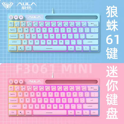 AULA狼蛛F3061迷你机械手感小键盘61键有线RGB台式笔记本平板便携