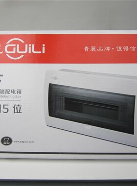 铁底开关箱 C4- 豪华空装开关箱 暗气漏电配电箱13515