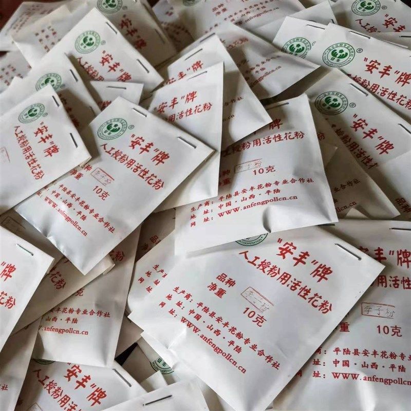 李子树五工授粉子花粉人月脆小李花粉奈李恐龙蛋李纯粉精粉