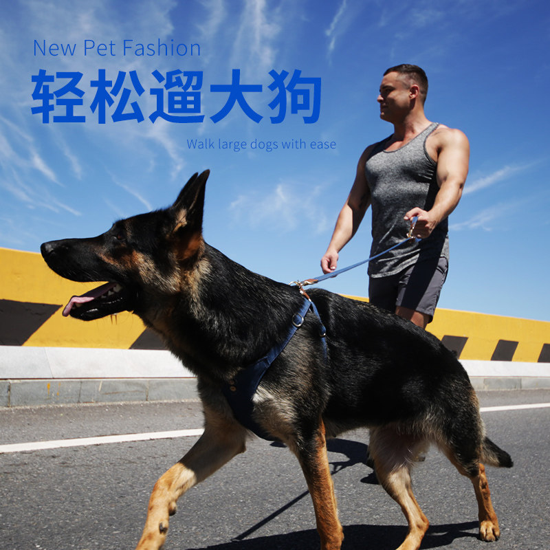 狗狗牵引绳胸背带型绳调背心式外出遛狗绳子节中狗大型犬柯基边牧