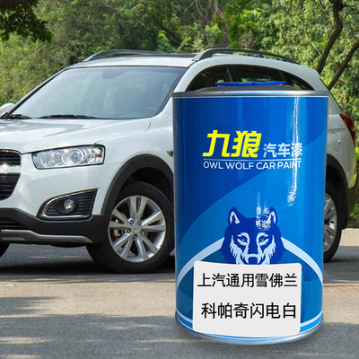 九狼汽车漆上成汽通品用佛漆雪兰科帕奇闪电白旷夜波黑尔红星月银