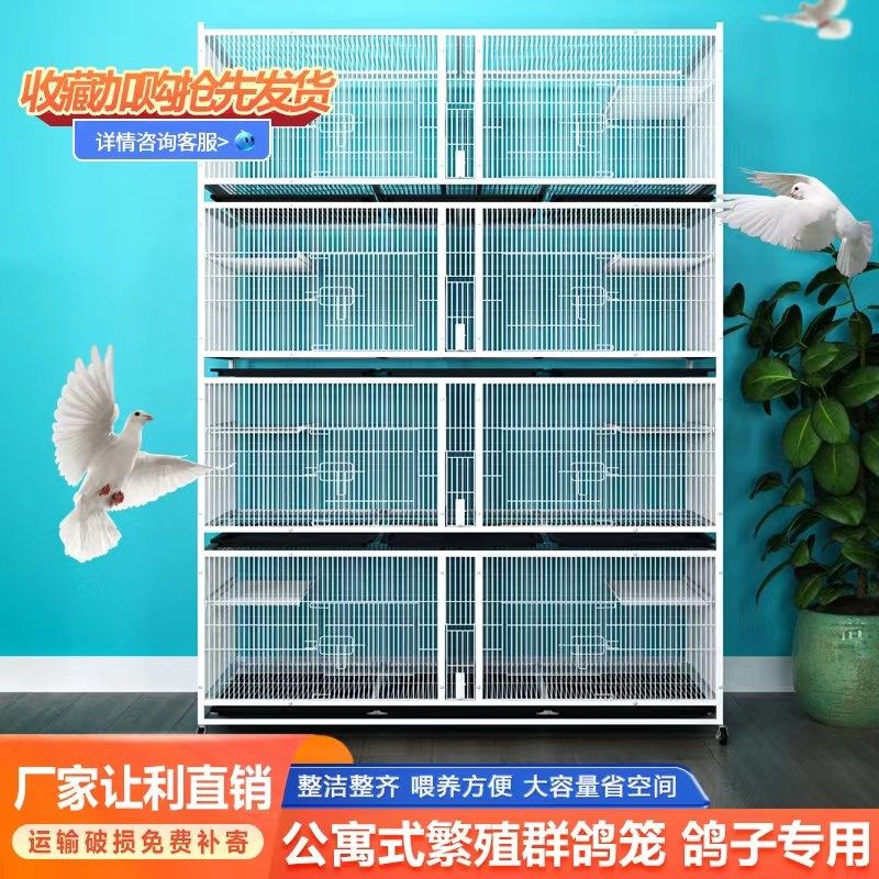 鸽子笼家元配对笼观赏用信鸽鸽宝鸽加大空间加密防黄鼠狼展示笼子
