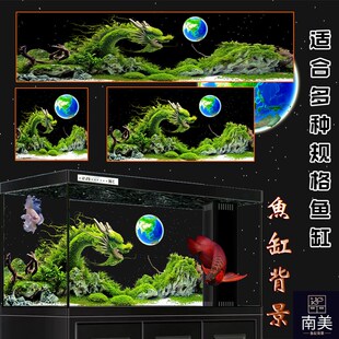 鱼缸背景贴纸高清图3D立体背景画龙鱼水族箱造景水草龙风生水起