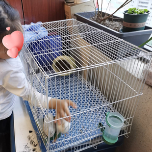 小鸡笼子家用芦丁鸡饲养箱宠物鸭子笼子室内专用养鸡笼鹌鹑养殖笼