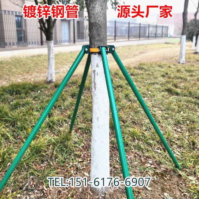 树木支撑架钢管固定器大树支撑杆乔木防风抱箍园林金属树支撑支架