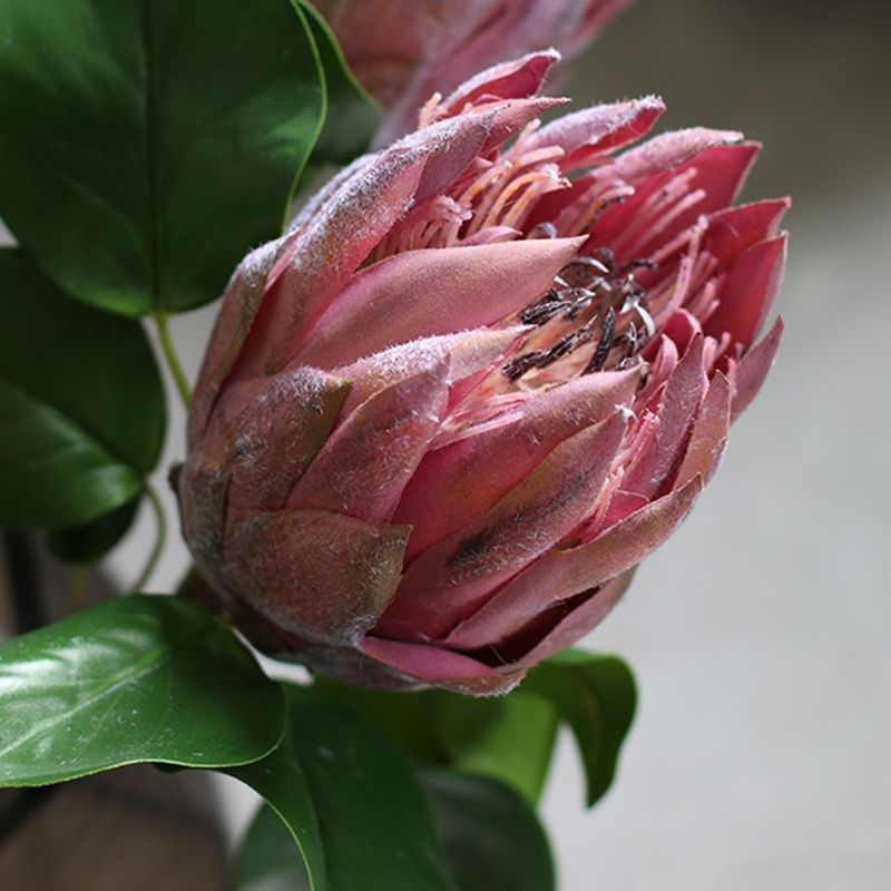 家居饰品仿真花卉假花装饰 帝王花 客厅餐桌茶几插花瓶花艺摆设品