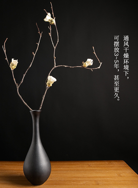 梅枝干花真花风干天然小枝腊梅中式花意摆放禅艺客厅室内装饰摆件