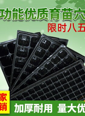 育苗穴盘育苗盘育苗杯塑料营养钵辣椒多肉蔬菜草莓苗木育苗器扦插