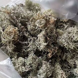 云南树花山珍天然山货凉拌菜胡子豆丝干货天然山野菜生树花中药材