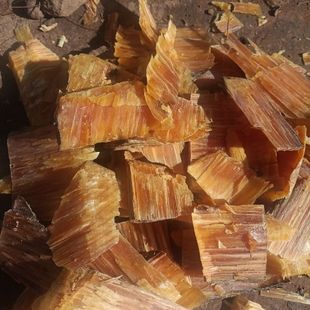 精选云南楚雄1000克黄松木节中药材包邮松明子原木松油节松树明子