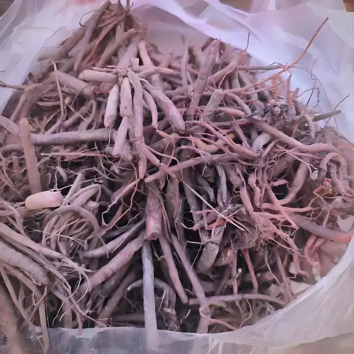 新鲜云南小红参小红参原生态小红参紫参小红参通用鲜活泡酒炖汤