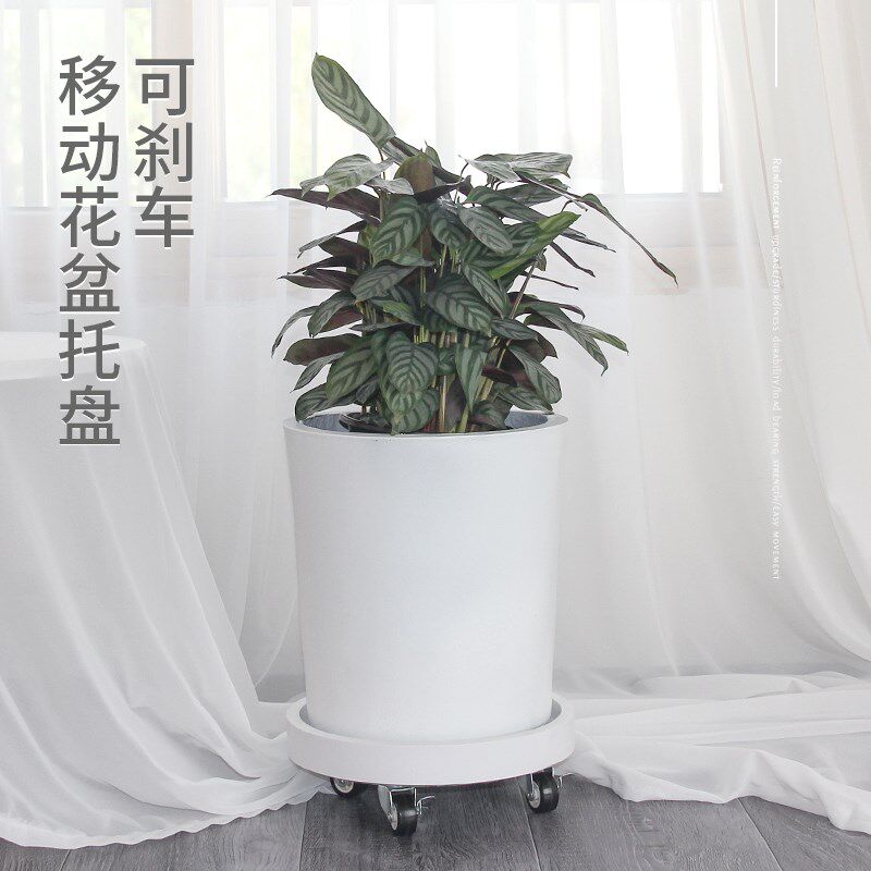 花盆托盘带子移轮万向滚轮底座圆形塑料加厚底盘垫动接水大号家用