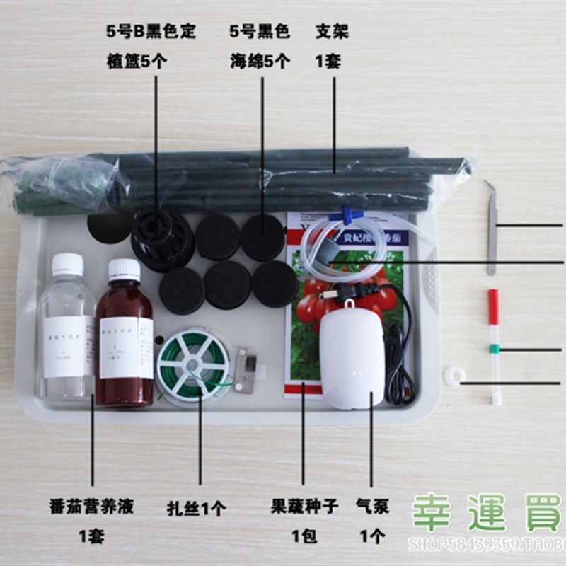 无土栽培花盆番氧黄茄文竹果蔬绿植5孔增瓜型水培种植箱