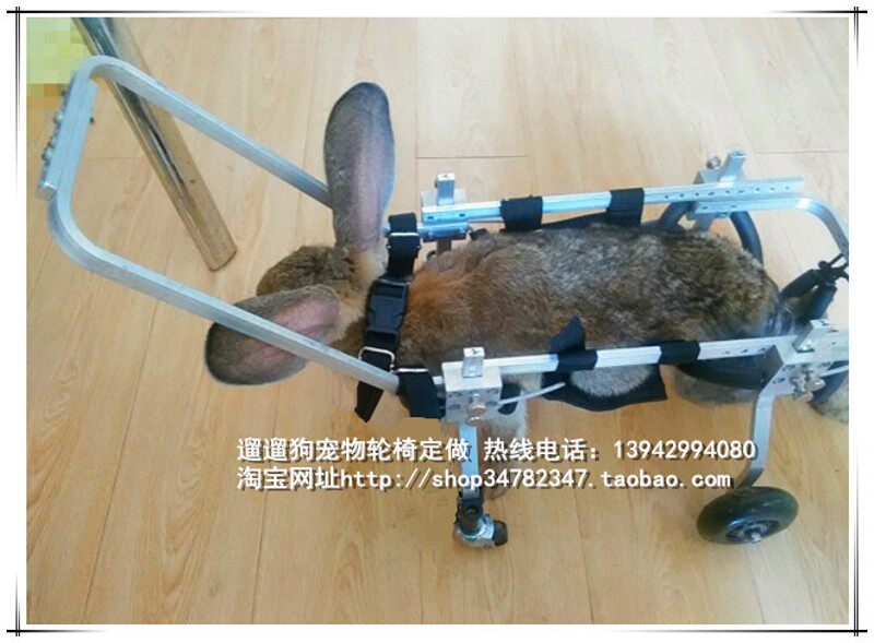 狗轮椅残疾瘫痪宠物代步车四肢瘫痪辅助车前肢残疾四轮车康复轮椅