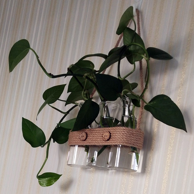 小清新创意手工麻绳水培绿萝玻璃花瓶家居室内墙面装饰工艺吊挂件