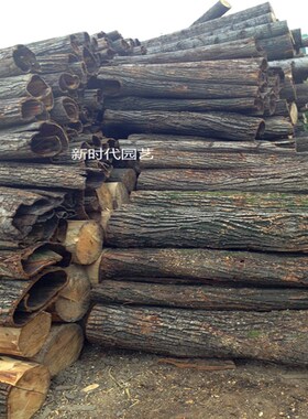 天然真树皮 柳树皮 包管道柱子 树皮装饰 道具用品 枯树 干树皮