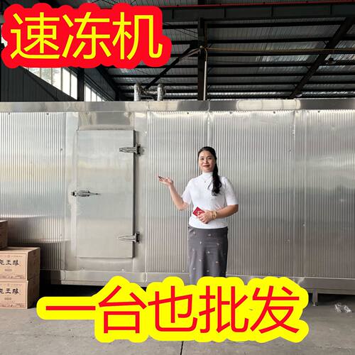厂家 速冻机隧道式 水饺三鲜网带式冻结机  不锈钢超低温冷冻