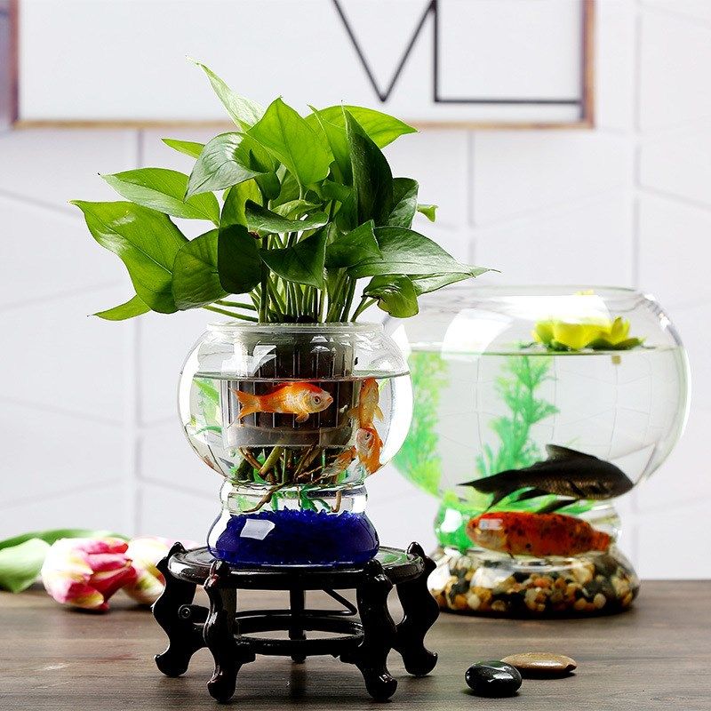 圆球玻璃鱼缸办公创意水培圆形小型乌龟缸鱼缸透明玻璃办公室客厅,宠物/宠物食品及用品,生态瓶/创意缸/微景缸,淘宝优惠券,粉丝福利购,淘宝优惠卷