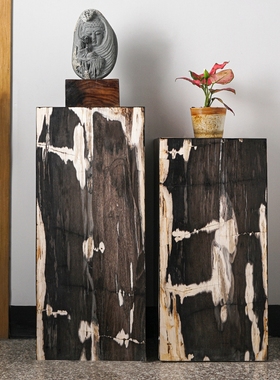 天然木化石空心几何落地摆件树化石方墩子展示台简约玄关高低花架