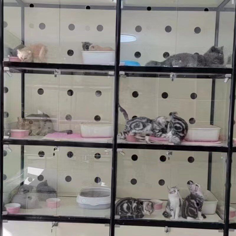 宠物店猫柜玻璃透明展示柜猫咪寄养柜商用猫柜繁育笼寄养笼猫舍
