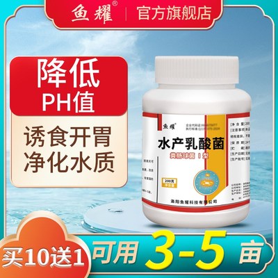 乳酸菌粉剂水产养殖专用抑弧菌鱼小龙虾蟹塘净水降pH缓解肠炎白便