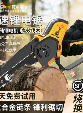 德国进口博士电锯锂电池大容量家用锯树小型户外充电式手持电