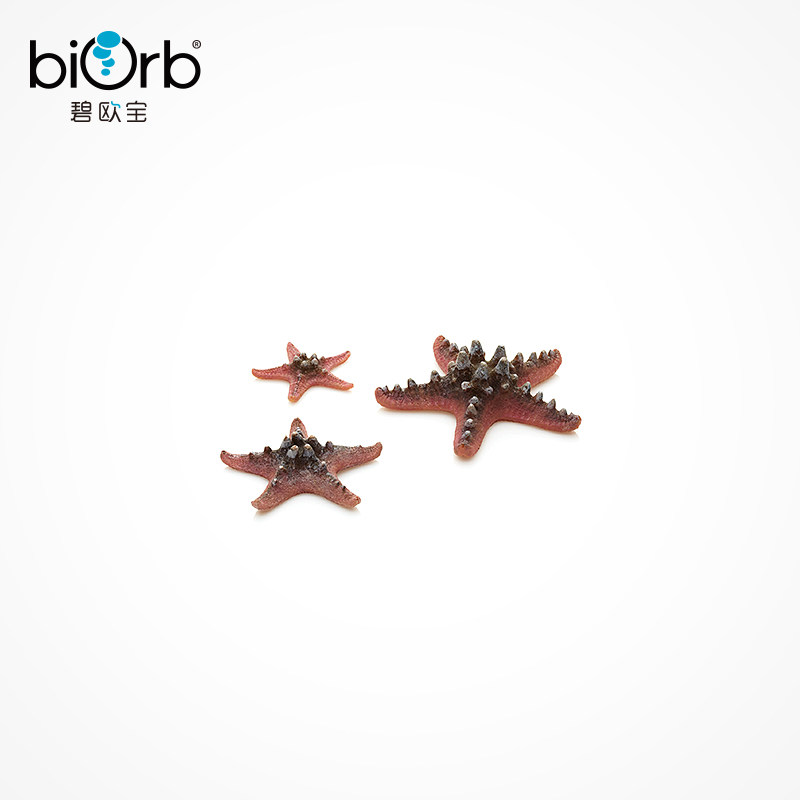 biorb鱼缸水族箱海星造景装饰 仿真海水布景鱼缸底部装饰铺底