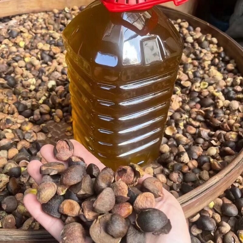 江西武功山农家自榨山茶油特产