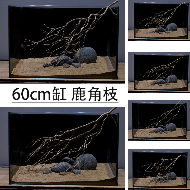 南美鹿角枝鱼缸造景树枝溪木沉流缸枯枝6组缸枝条0合鹿角枝沉木