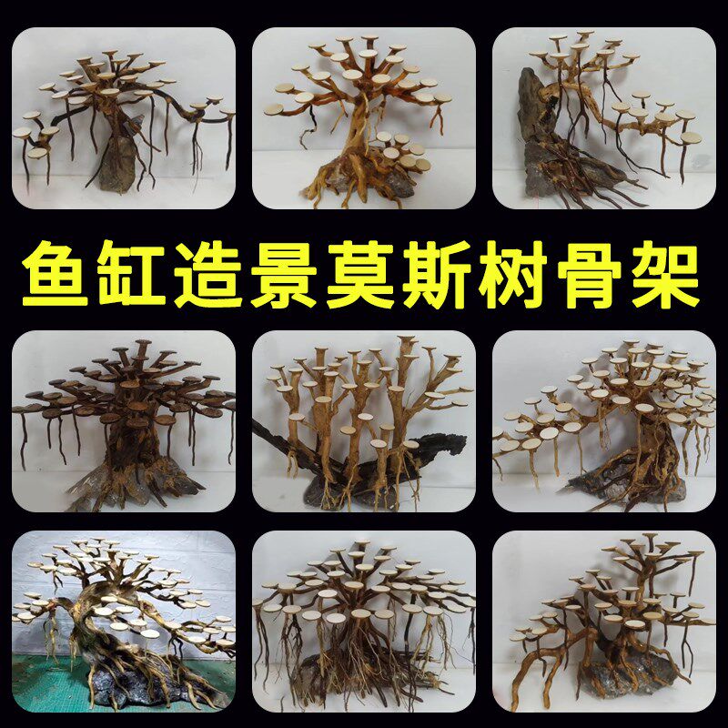 鱼缸造景莫斯树骨架成品沉木杜鹃根石龙青迎装松树根摆件草缸客饰