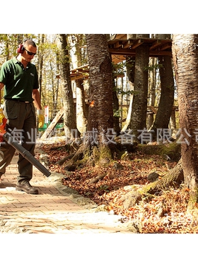 欧玛手持式两用吹风机 BV300便携式道路清理 除尘吹灰机