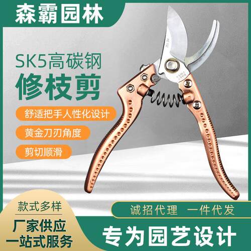 防滑园林修枝剪铜色 SK5手动省力园林高枝剪 鸟嘴镀铬果花艺枝剪