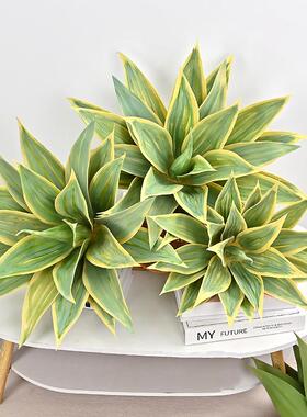 仿真龙舌兰绿色金边虎皮兰植物摆件装饰配材室内绿植软装造景样板