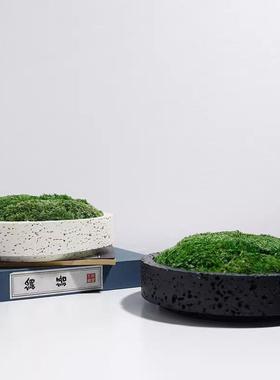 简约现代黑色花盆摆件仿真青苔绿植装饰客厅桌面酒店永生苔藓摆件