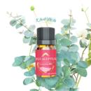 驱蚊喷雾走珠原材料香薰精油液体香料香精香薰机加湿器