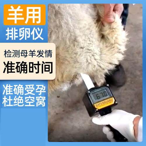 羊用排卵测定仪母羊发情鉴定全自动配种仪器检测精准羊配种养殖场