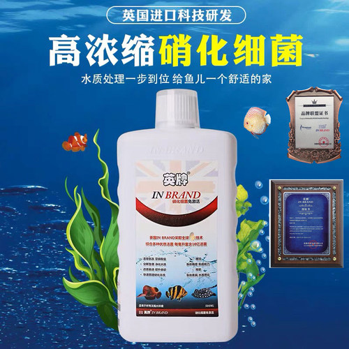 英牌鱼缸用硝化细菌鱼缸净水剂水族消化细菌益生菌宠物水族用品