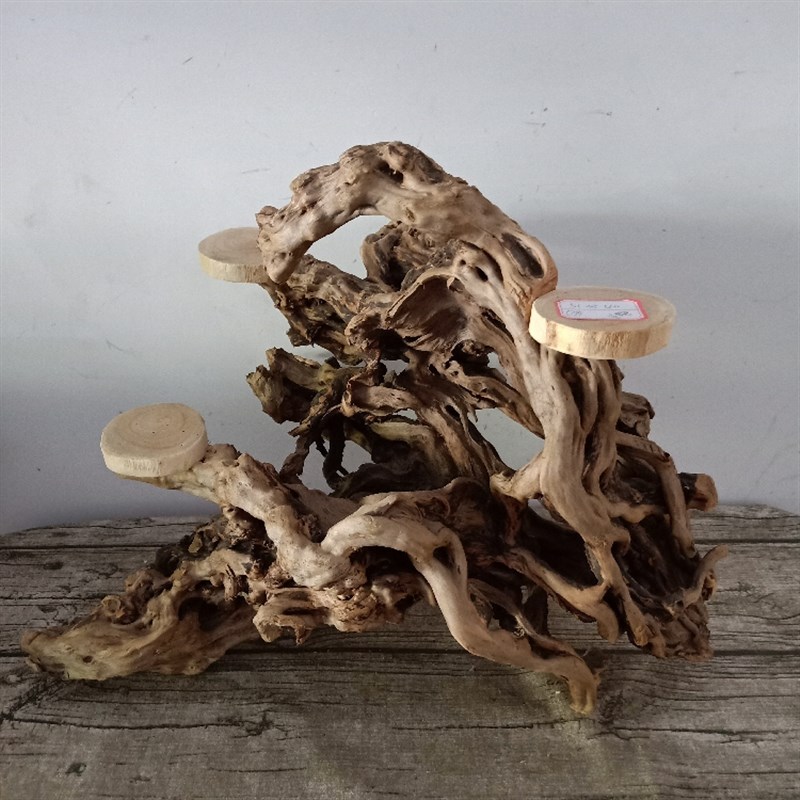 天然实木根雕态意随型树根根艺底座木头仿工原生禅古艺品多肉花架