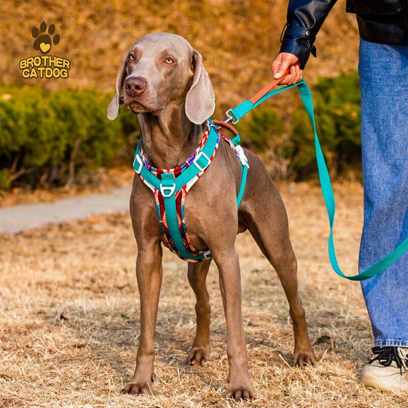 狗狗胸背带牵引中大型犬外出牵引绳牵狗绳防挣脱大狗夏天
