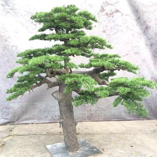 仿真迎落松树内外装饰造景仿真室绿植罗汉松假美人松大型客地摆件