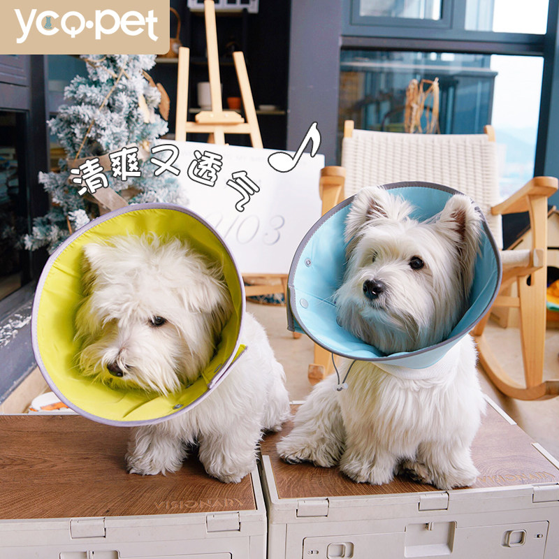伊丽莎白圈小型犬头套猫咪狗狗脖圈宠物绝育项圈防咬防舔圈,宠物/宠物食品及用品,宠物伊丽莎白圈,淘宝优惠券,粉丝福利购,淘宝优惠卷