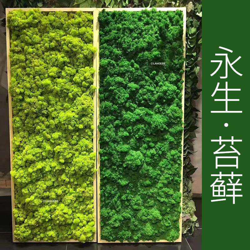 永生苔藓真苔藓婚庆家居工程造景仿真绿植仿真植物仿真花