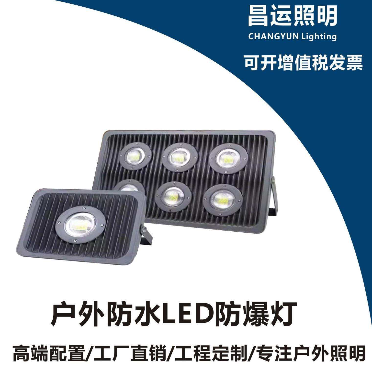 12/24V36V低压防爆灯仓库户外灯50100W加油站船用投光灯led隧道灯