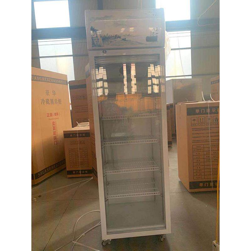 风冷单门饮料柜冷藏柜立式啤酒保鲜柜冷饮柜玻璃展示柜食品留样柜