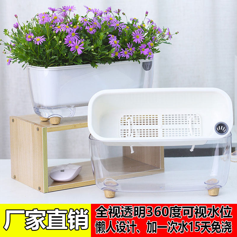 可视自动吸水花盆桌面长方形懒人绿萝盆室内免浇水创意透明绿植盆
