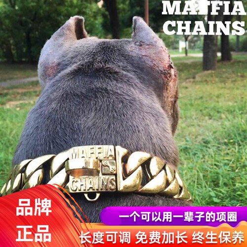 MAFFIA不锈钢可调脖圈狗链大型犬猛犬卡斯罗杜宾斗牛恶霸定制项圈